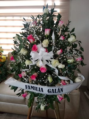 Pedestal combinado R34